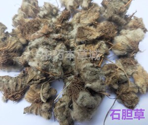 石胆草500g生扯拢 石花 岩指甲 镇心草 石荷叶 石蝴蝶 石莲花