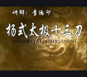 李德印杨式太极十三刀光盘dvd杨氏13刀教学u盘非网盘下载光碟教材