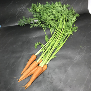 带叶子迷你手指萝卜 新鲜拇指萝卜可食用酒店西餐摆盘装饰菜 500g