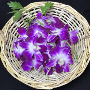 新鲜洋兰花 杨兰花 摆盘装饰花草鲜花点缀 250g 约80朵