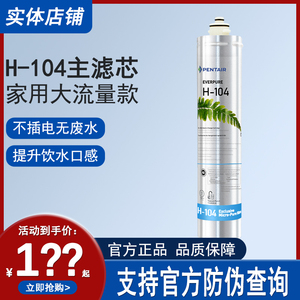 美国进口爱惠浦EVERPURE美国原装进口H-104主滤芯净水器家用直饮