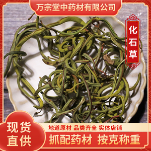 肾经草肾精茶结石茶石伟石苇草长白山野生化石草新鲜石韦茶男性茶