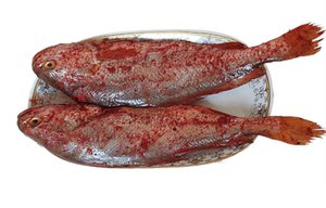 顺丰包邮1500g/3条酒糟鱼富三黄糟瓜鱼福建特产真空黄鱼鲞海鲜