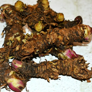 正品野生药材云南深山采挖蜘蛛香马蹄香鬼见愁臭药磨脚花臭药500g