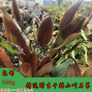 重庆大巴山野生人工精选无硫熏中草药整根小石苇干鲜货散包装500g