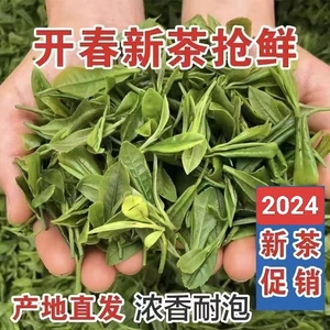 日照绿茶2024新茶特级炒青散装茶叶栗香浓香型山东高山农家春耐泡