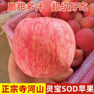 正宗灵宝苹果寺河山SOD天然富硒红富士一级精品2023年新苹果无标