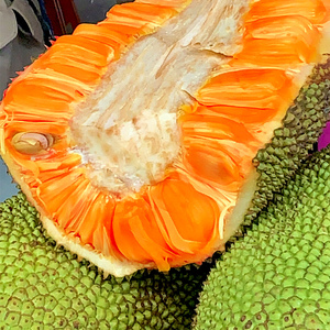 海南红肉菠萝蜜一整个泰八红心木波萝蜜当季热带新鲜水果孕妇包邮