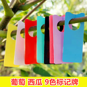 葡萄记号牌甜瓜标记卡植物标签西瓜色标记牌分色标记牌环套标识牌