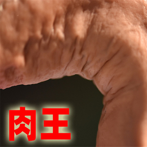 男人jj模型