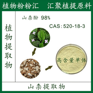 山柰酚98% 实验用品科研使用高含量单体 槐角提取物