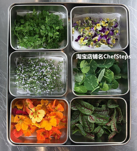 chefsteps 西餐用具 摆盘花草储存盒 调料 配菜 盒 不锈钢