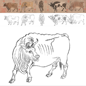 五牛图白描图
