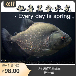 秘鲁普黑