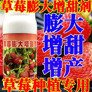 草莓专用膨大剂