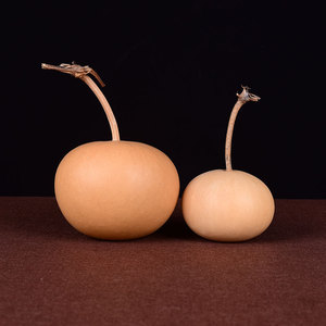 天然苹果葫芦种子蝈蝈葫芦种子阳台盆栽观赏葫芦种籽鸡蛋葫芦种子