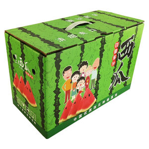 2粒西瓜礼盒盒子纸箱箱子特产精品 2k通用定制手提礼品包装礼品盒