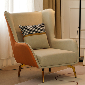 北欧单人沙发轻奢现代简约小户型客厅科技布休闲懒人沙发老虎椅子