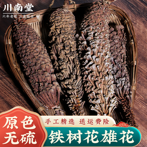 铁树花中药材 500克包邮 野生正品干花 铁树雄花 凤尾蕉 另有雌花