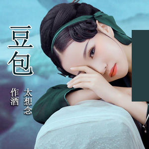 豆包太想念歌曲作酒dj网络红歌汽车用车载cd光盘碟片无损音乐盘