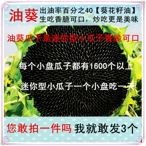 葵花盘包邮