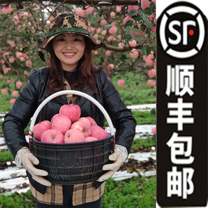 【谢林超】苹果水果新鲜现摘小份五斤装高原山地红富士苹果冰糖心