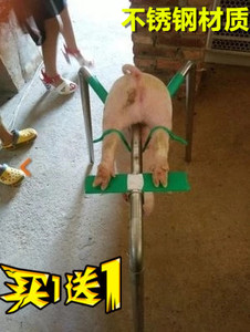 阉猪器 阉割架仔猪小猪用场养猪用设备用品工具阉割器仔猪 阉猪架