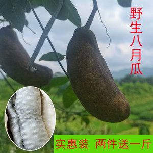 实惠装 恩施野生八月瓜 新鲜水果现摘八月炸九月炸牛腰子果野香蕉