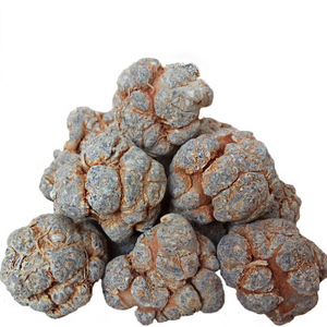 云南文山三七带帽有剪口芦头14头16头圆头足干可代打粉