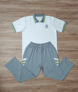 天资冰丝棉校服 潮州潮安庵埠华附华侨龙溪中学新款短袖夏季灰色