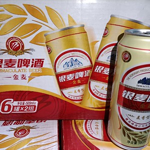 银麦啤酒黄金奥麦系列金麦啤酒500ml整箱12罐 青岛啤酒荣誉出品