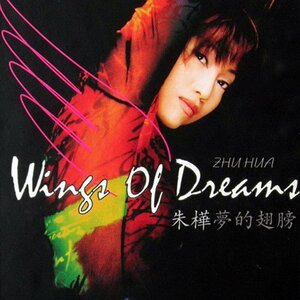 朱桦梦的翅膀