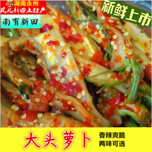 大头萝卜 新鲜上市 湖南永州 凤儿新田土特产 鲜脆爽口 三味可选