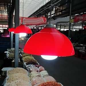 卤菜熟食店塑料红色灯罩板栗蔬菜水果菜市场生鲜超市水果店吊灯罩