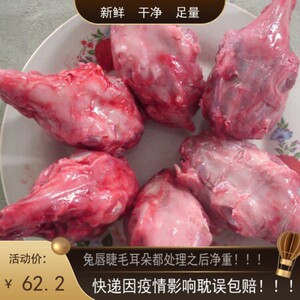 新鲜兔头冷冻兔脑壳四川重庆现杀生鲜速冻大兔子头整箱真空包邮