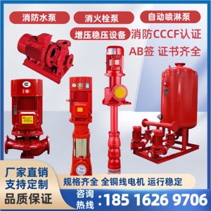 立式消防水泵高压消防泵控制柜室内消火栓泵消防喷淋泵增压稳压泵
