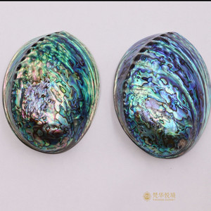 新西兰鲍鱼壳彩贝装饰摆件可作香薰炉烟灰缸礼品收藏