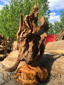 原生态天然根雕东北红松明子精品随形创意树根自然造型工艺品包邮
