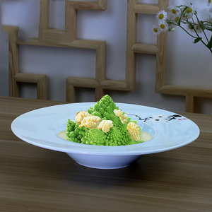 酒店特色凉菜冷菜盘子饭店大董意境菜创意餐具餐厅圆形碟子商用