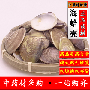 中药材海蛤壳整个500克包邮另有红海哈海蛤壳 文蛤 红海蛤瓦楞子