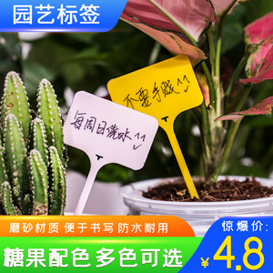 园艺标签t型花盆插牌塑料插地牌多肉绿植花卉植物花名防水小插牌