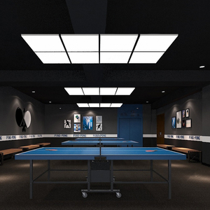 乒乓球室灯光设计方案图片