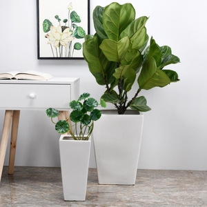 花盆大号特大号超大栽树花盆陶瓷特现代简约客厅发财树虎皮兰大花