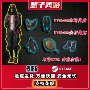 pubg绝地求生骷髅面具柏林裤steam市场代购平底锅风衣皮肤套装