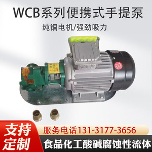 WCB手提泵便携式泵齿轮泵移动泵微型齿轮泵 柴油自吸电动抽油泵