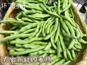 贵州农家露天自种四季豆新鲜菜豆角芸扁豆无筋豆架豆刀豆龙豆青豆