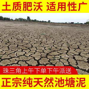 荷塘泥黄土壤睡莲碗莲种植土养花土营养土通用型种菜池鱼塘泥土