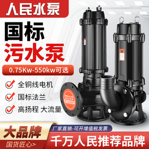 人民国标污水泵潜水排污泵380v三相抽粪泥浆3kw5.5千瓦7.5kw11kw