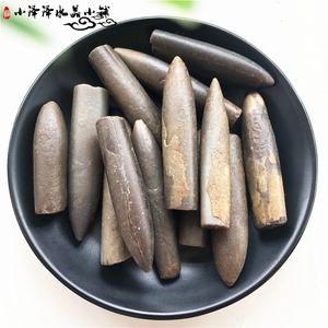 马达加斯加鱼箭石化石原石标本古生物化石原石直角石化石教学标本