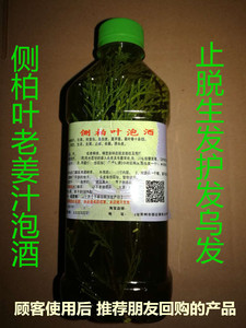 新鲜野生侧柏叶泡酒防脱生发增发水乌发酒精泡叶老生姜脂溢性脱发
